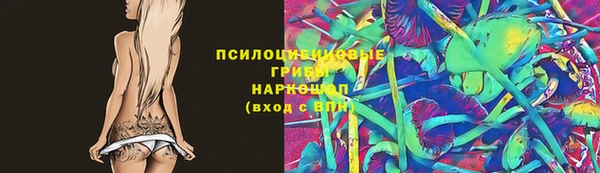 МДПВ Карпинск