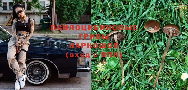 гидропоника Касимов