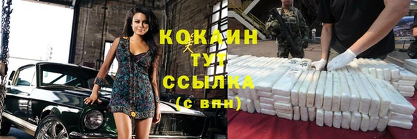 МДПВ Карпинск