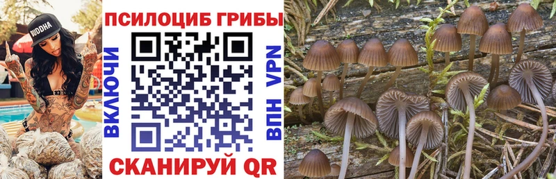 Галлюциногенные грибы ЛСД Тотьма